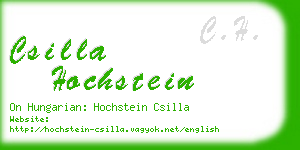 csilla hochstein business card